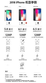 苹果价格最新爆料图今天,行情波动,市场动态一览