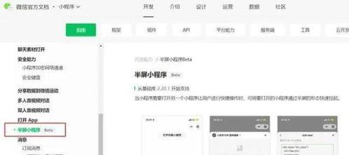 小程序最新爆料资讯网,功能升级、玩法革新,揭秘未来趋势