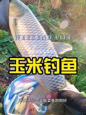 抖音小海鱼棠最新爆料,揭秘网红幕后故事!