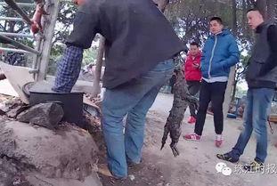 佛山罗村爆料最新消息新闻,突发事件引发关注,详情即将揭晓