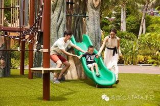 亲子游霸王最新爆料,最新亲子游攻略大曝光!
