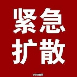 新爆料最新消息,最新热点事件背后惊人真相!”